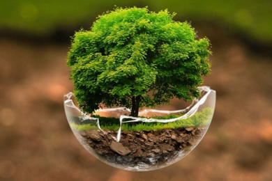 POLLUTION PREVENTION (P2)